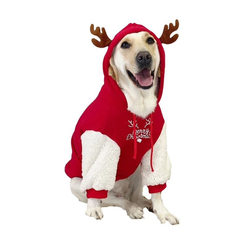 Manufacturers Custom High Qual - Winter Clothing Manufacturers recensie en prijs