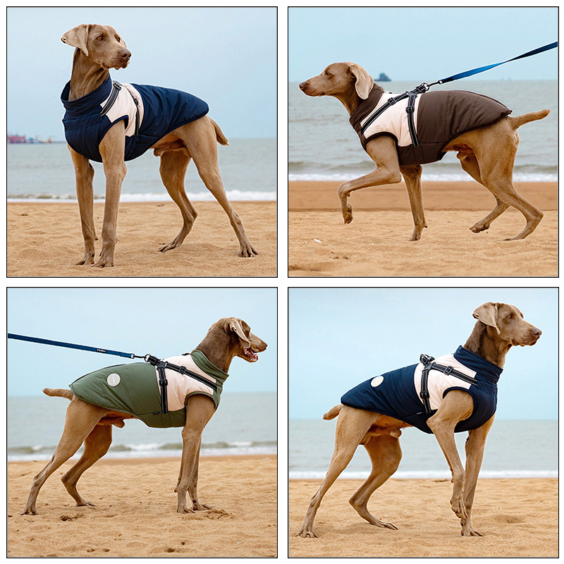 Warm Dog Vest With Built-in Ha - Winter Clothing Line recensie en prijs