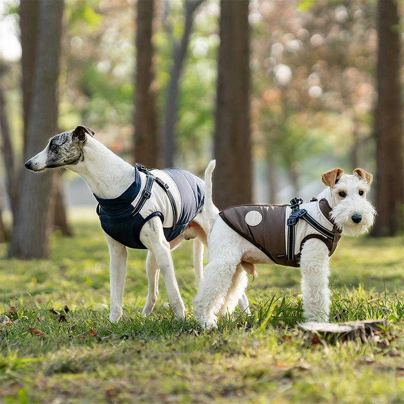 Warm Dog Vest With Built-in Ha - Winter Clothing Line recensie en prijs