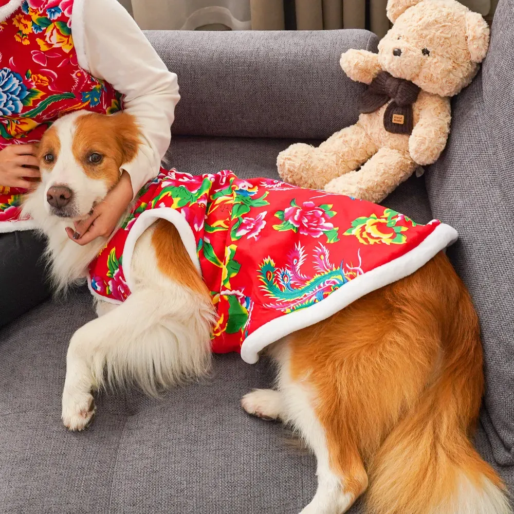 2025  winter dog clothing dog  - Winter Clothing Name recensie en prijs
