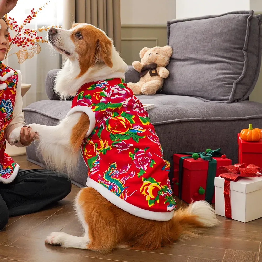 2025  winter dog clothing dog  - Winter Clothing Name recensie en prijs