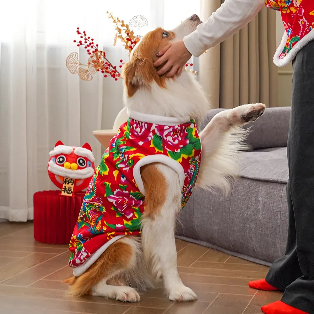 2025  winter dog clothing dog  - Winter Clothing Name recensie en prijs