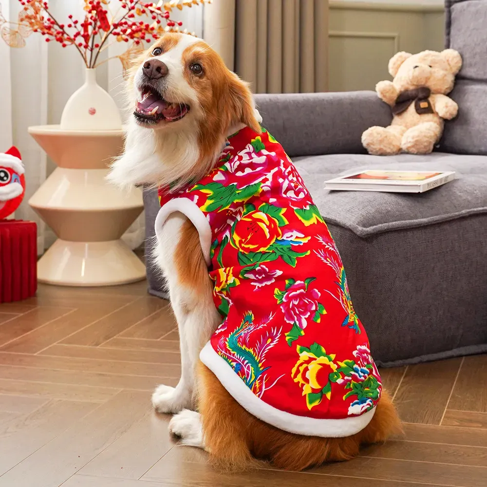2025  winter dog clothing dog  - Winter Clothing Name recensie en prijs