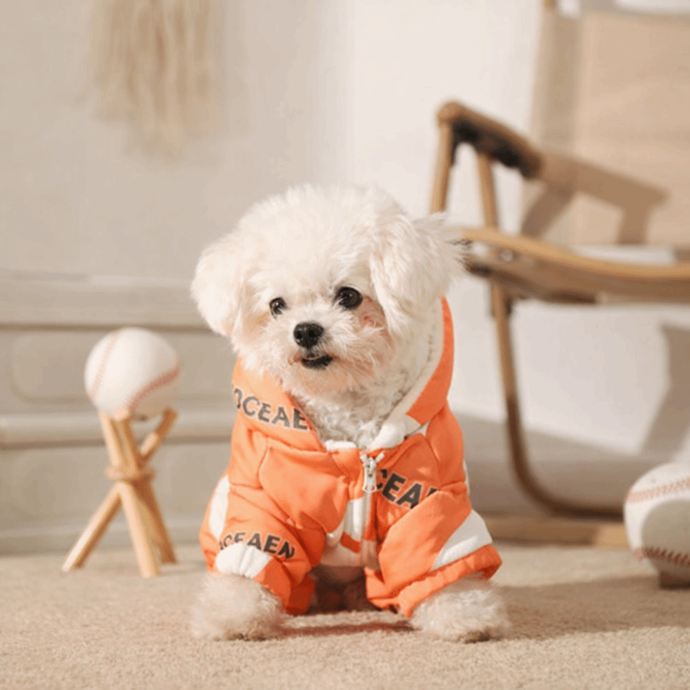 Cute Warm Dog Winter Clothes A - Winter Clothing Line recensie en prijs