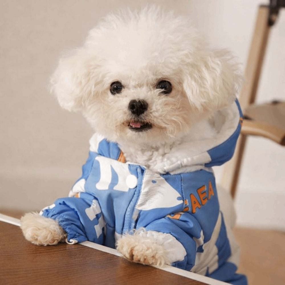 Cute Warm Dog Winter Clothes S - Winter Clothing Line recensie en prijs