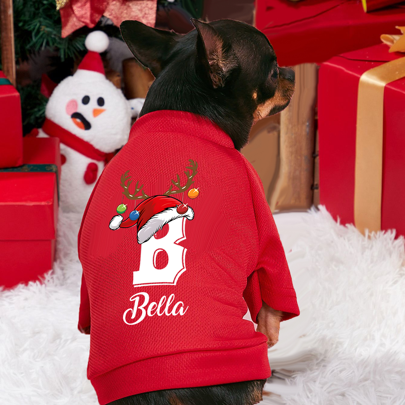 Personalised Christmas Pet Dog - Winter Clothing Name recensie en prijs