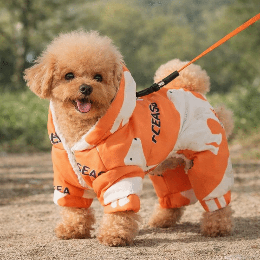Cute Warm Dog Winter Clothes A - Winter Clothing Line recensie en prijs