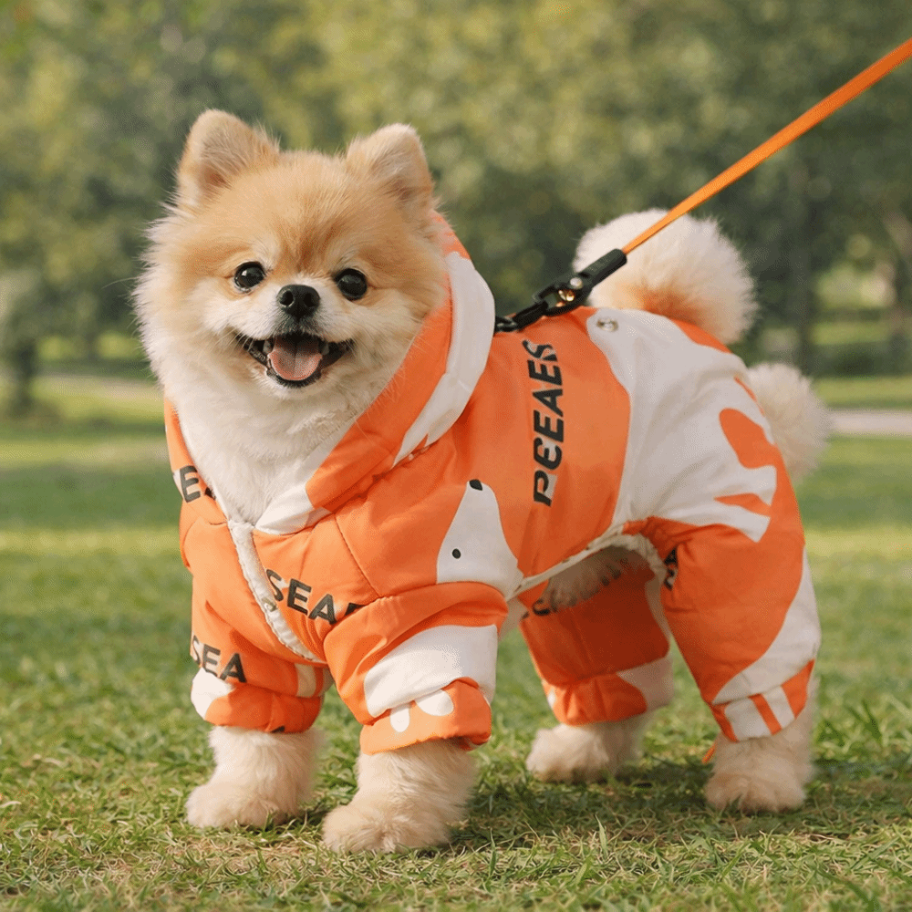 Cute Warm Dog Winter Clothes A - Winter Clothing Line recensie en prijs